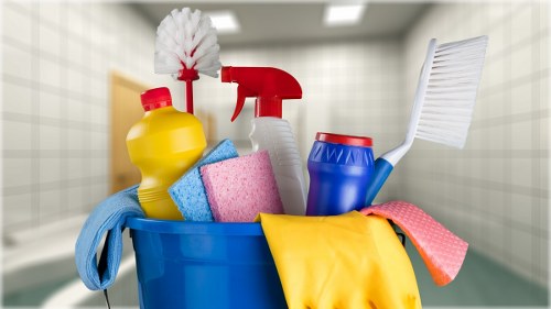 Carpet cleaner preparing safe cleaning equipment and workspace