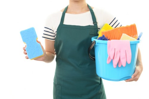 Professional oven cleaning service for E14 homes and flats