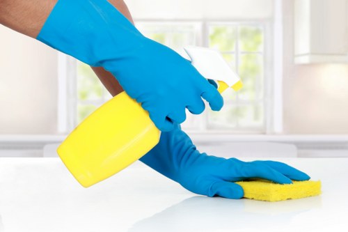 Domestic cleaning for a modern apartment in E14