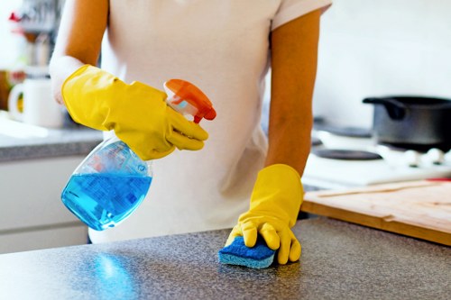 Local carpet cleaning specialists focusing on detailed floor care