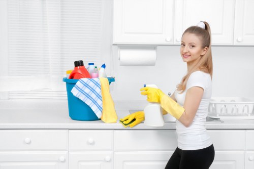 Professional house cleaning service for flats and homes in E14
