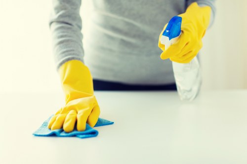 Detailed bathroom cleaning in a local E14 property