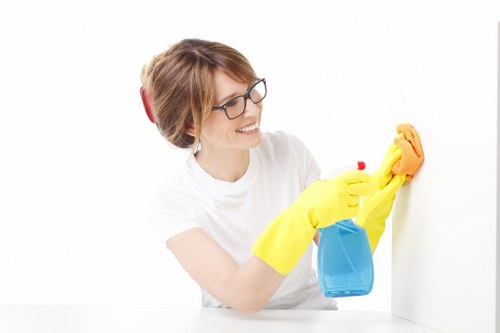 Local cleaner working in a Canary Wharf area home in E14
