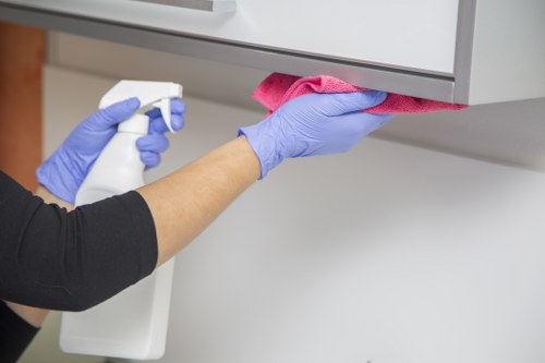 House cleaning service for family homes and flats across E14